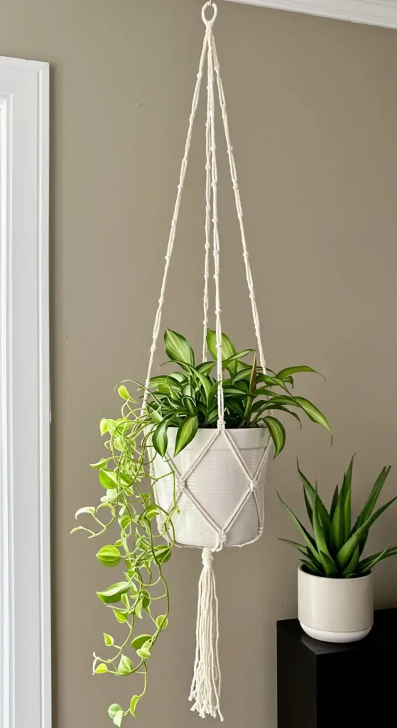 15 Simple Craft Ideas For Teens 7 6. DIY Plant Holders