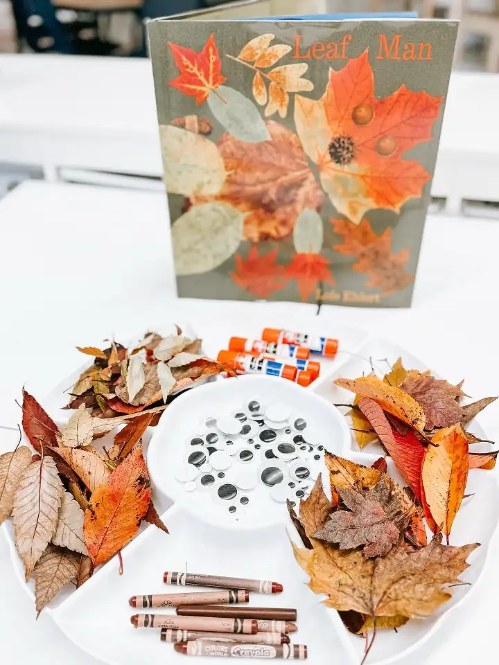 Sorted Leaf Tray Paired With A Leaf Story For Leaf Faces