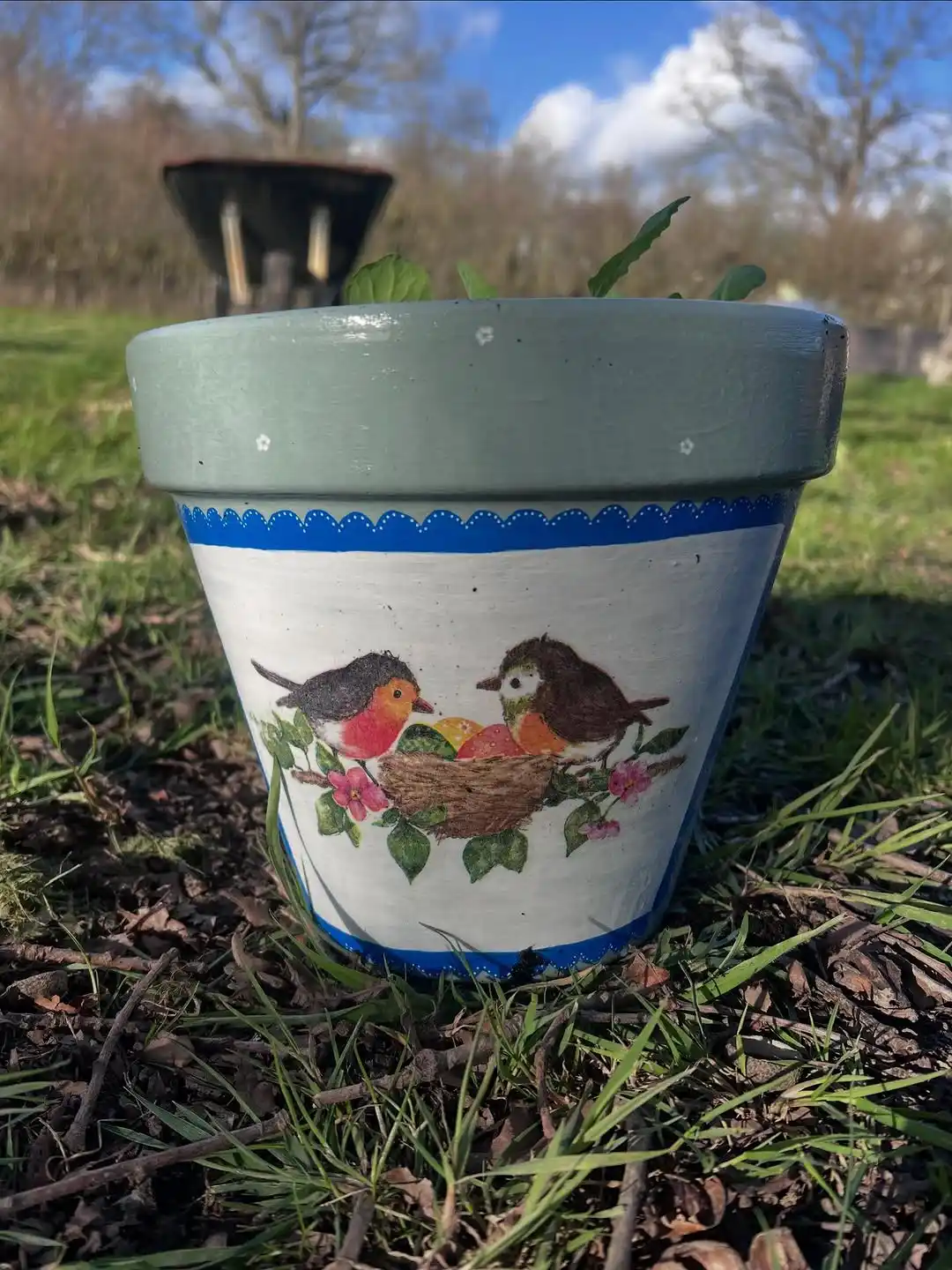 12 Best Mothers Day Gift Ideas on a Budget 8 Plant in a Decorated Pot