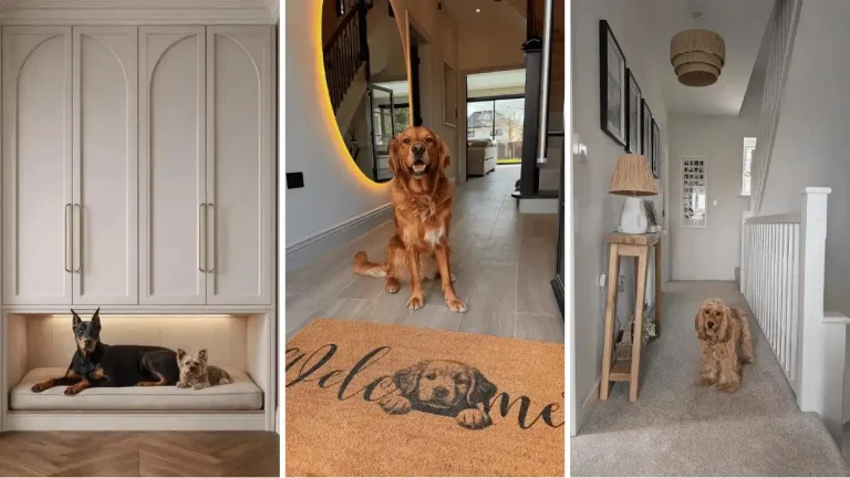Pet Friendly Entryway Ideas for Dog Owners