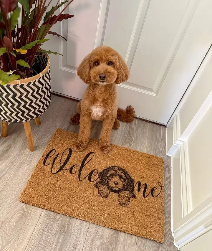 Turn the Front Mat Into a Sit and Wait Spot