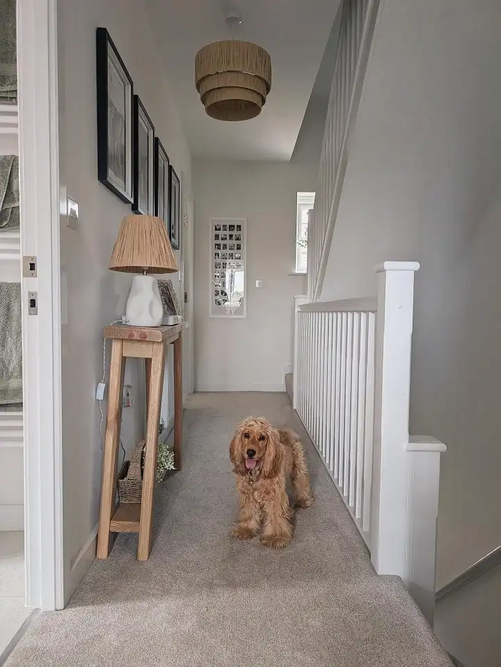 Give the Leash a Home on a Slim Console Table