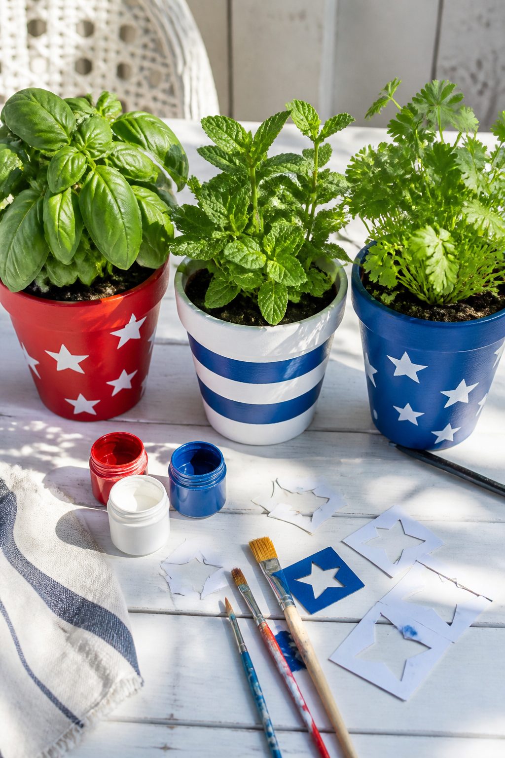 8 DIY 4th of July Gifts to Give Ideas 6 Item 5