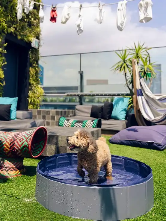 Folding Splash Pool for Summer