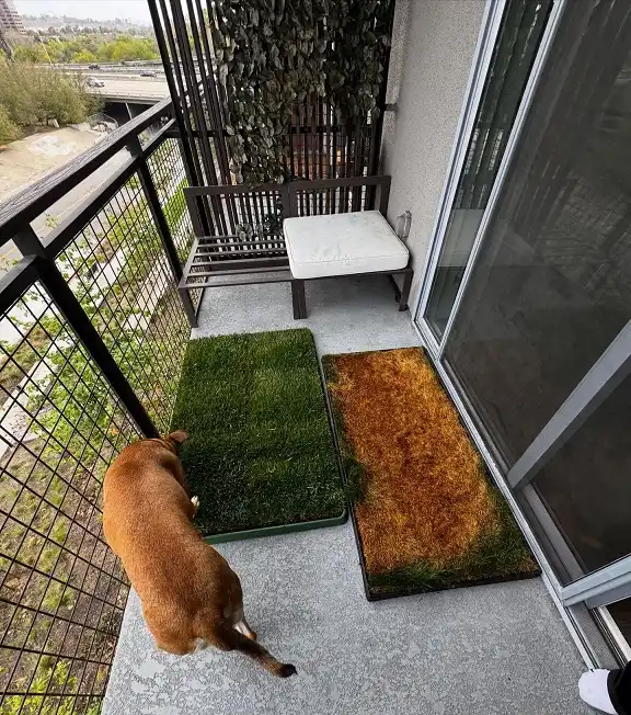 Two Pad Handover on a Long Skinny Balcony
