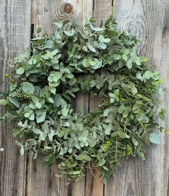 Eucalyptus wreath DIY