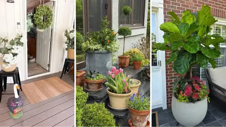 18 Front Porch Planter Ideas That Feel Like a Beach Vacation 18 Front Porch Planter Ideas