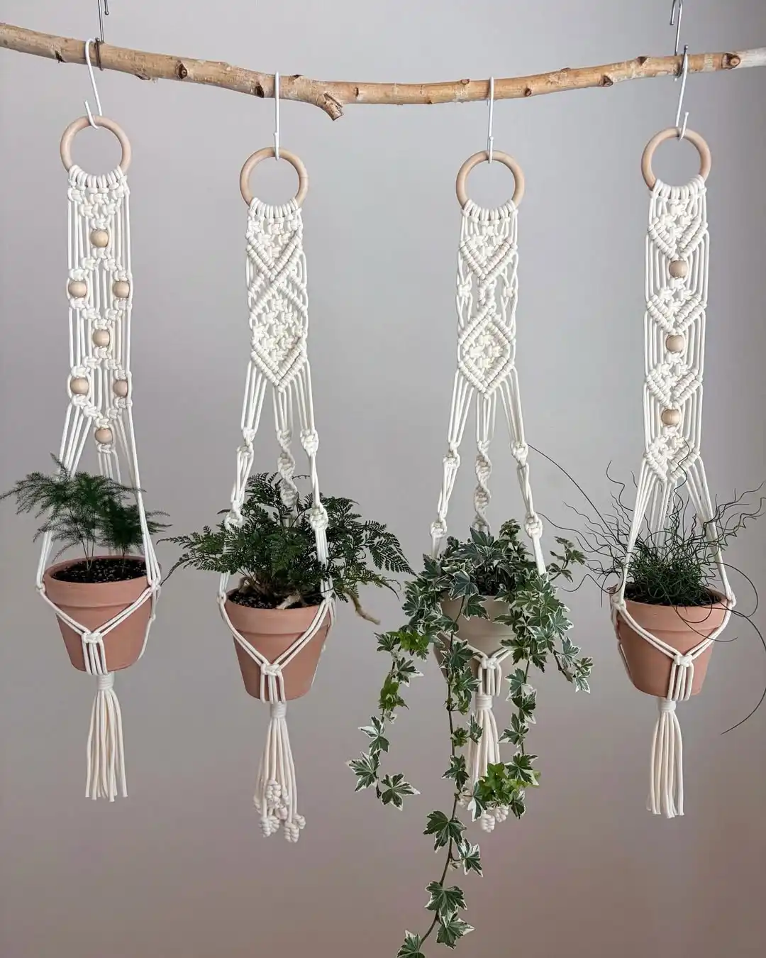 Macrame Plant Hanger