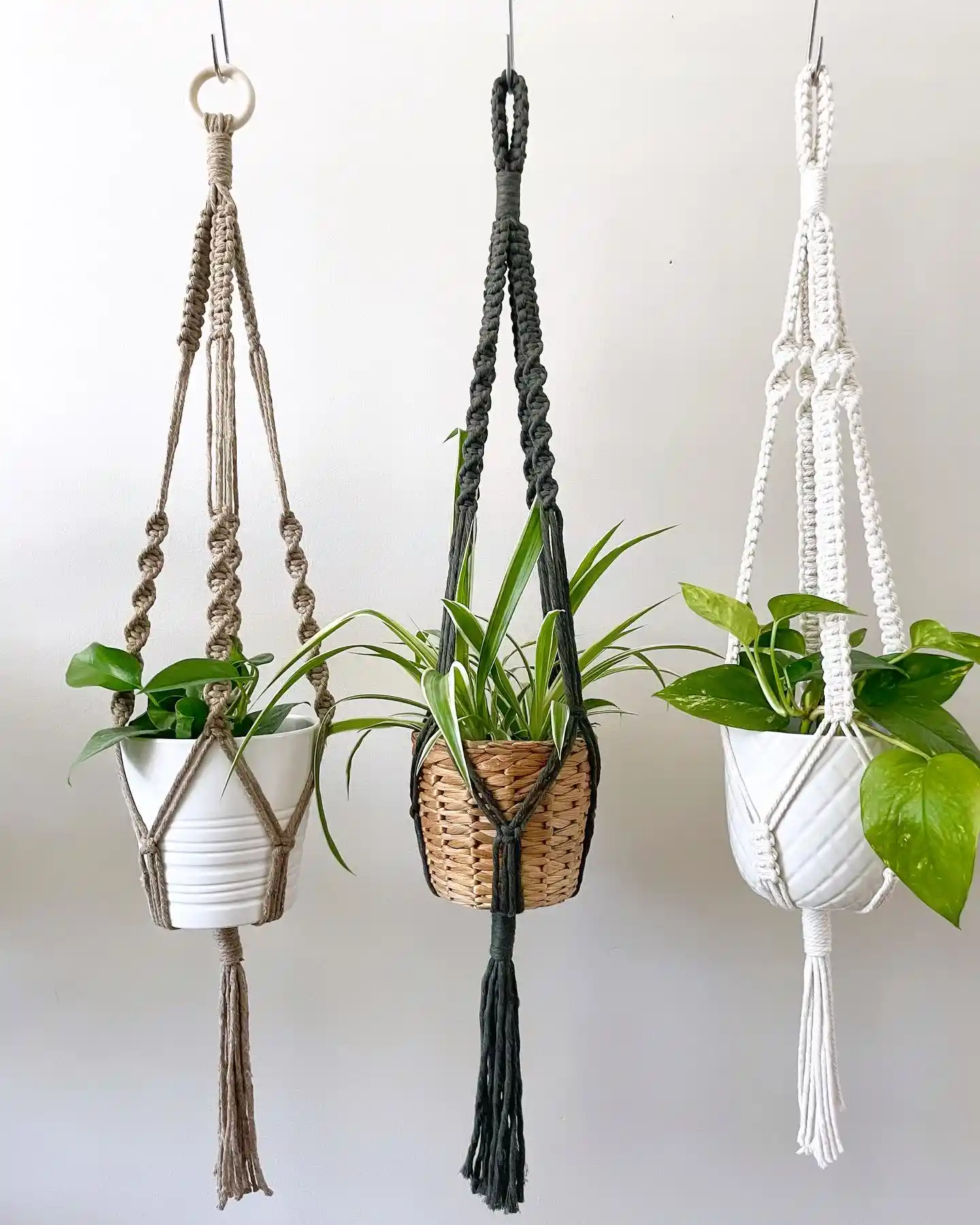 boho macrane plant hanger