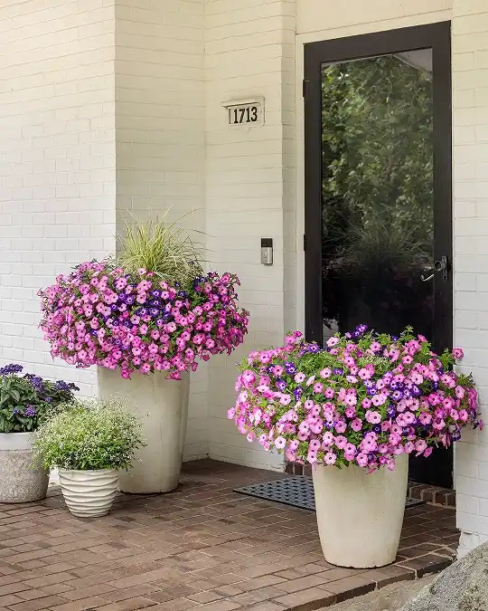 front porch flower pots