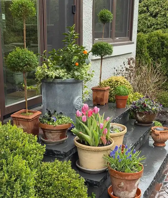 porch container gardening