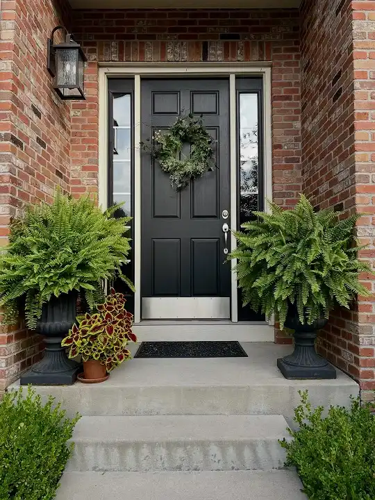 porch plant decor