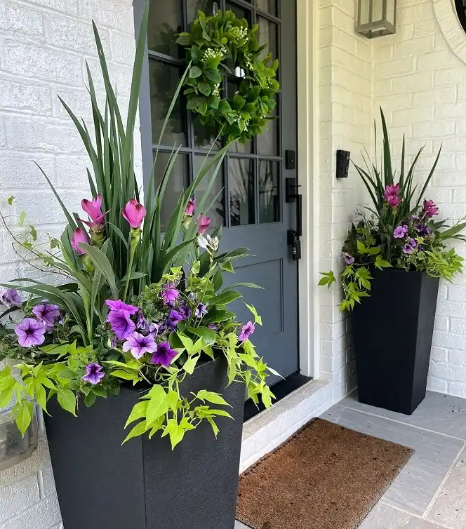 porch planter ideas